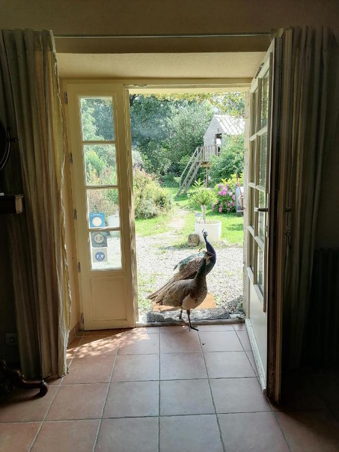 Frairie Du Divit Bed & Breakfast Pontivy Eksteriør bilde
