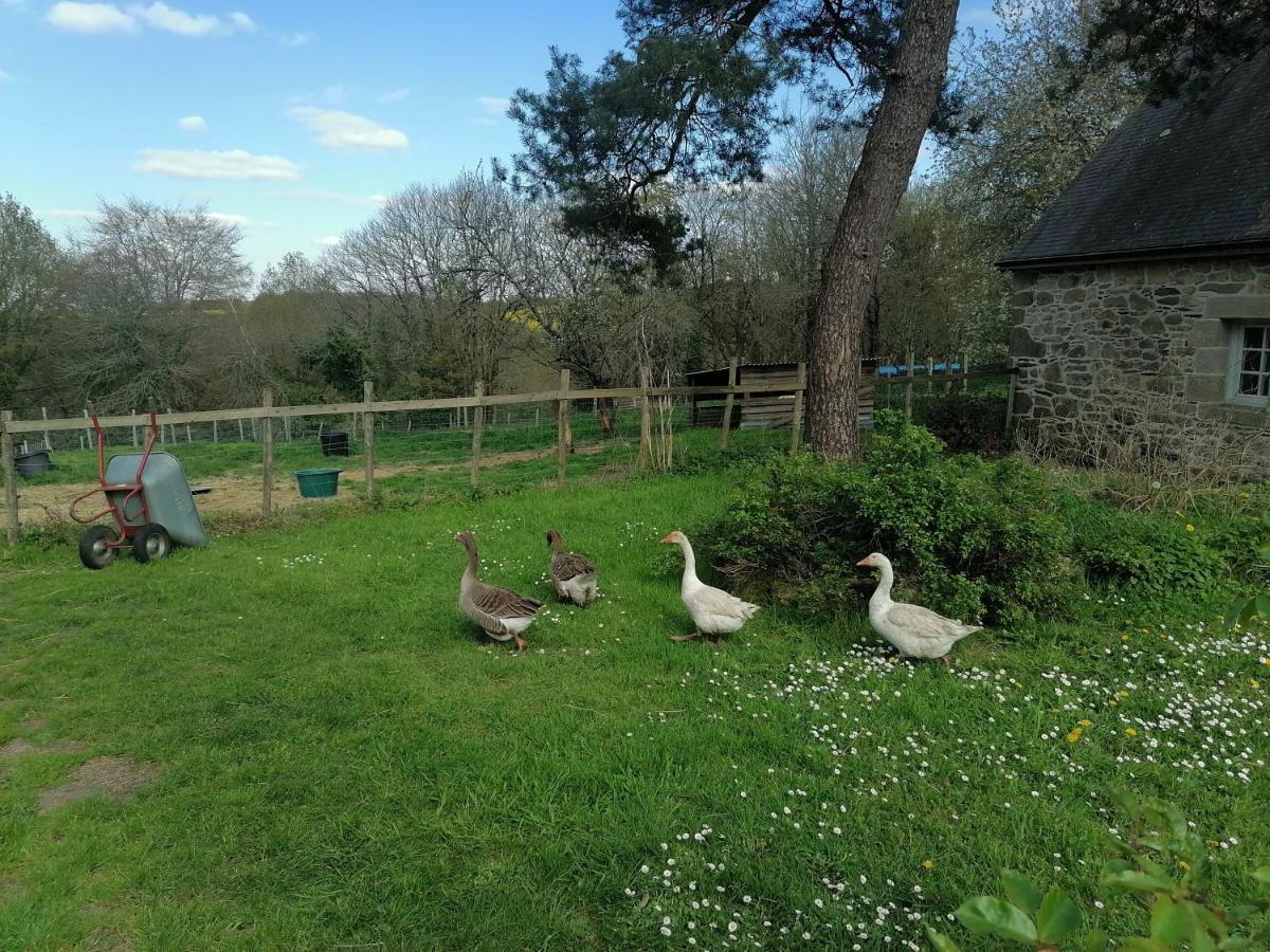 Frairie Du Divit Bed & Breakfast Pontivy Eksteriør bilde