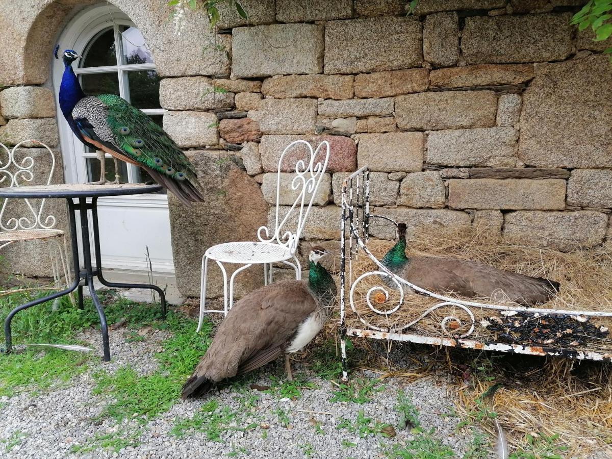 Frairie Du Divit Bed & Breakfast Pontivy Eksteriør bilde
